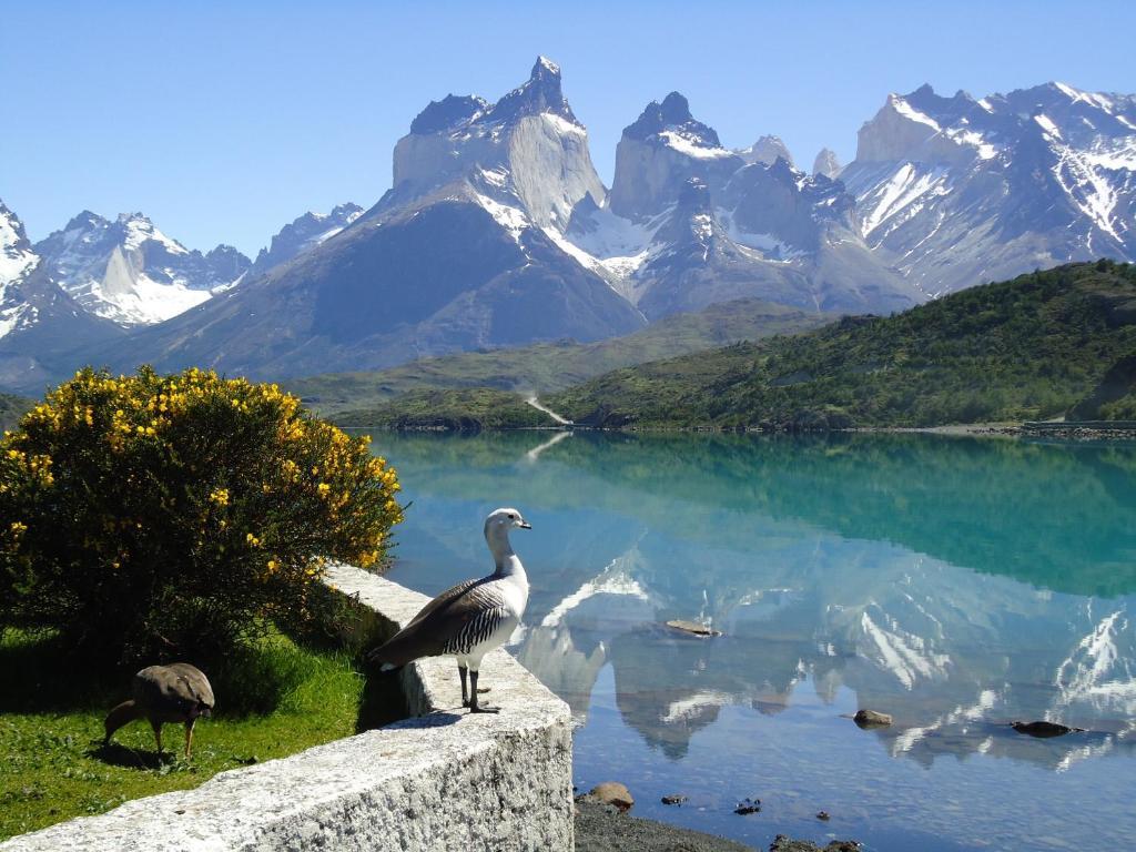 Hosteria Pehoe Torres del Paine National Park Exterior photo